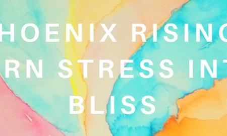 Phoenix-rising-series-turn-stress-into-bliss